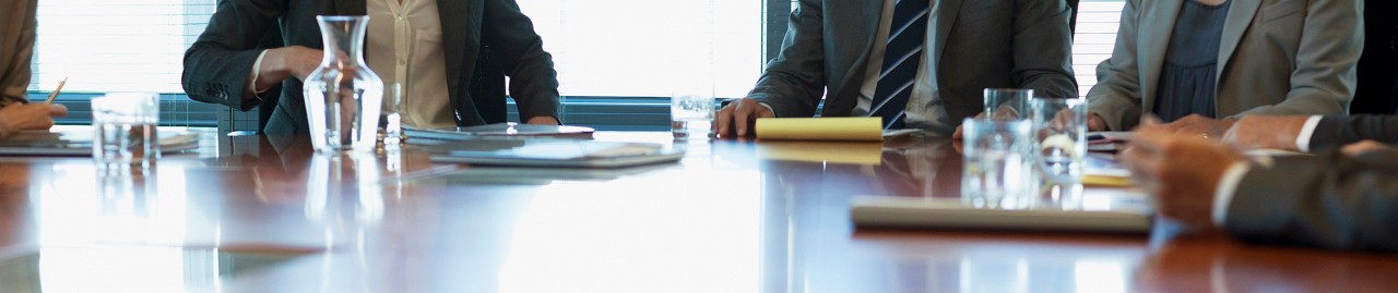 Board of Directors sitting around table